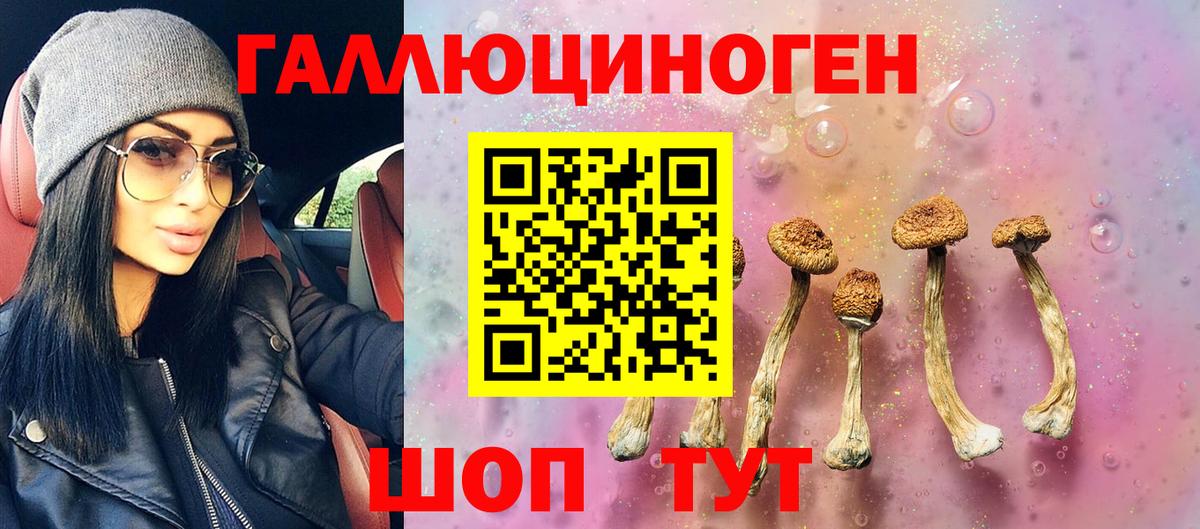 Псилоцибиновые грибы GOLDEN TEACHER Дубна